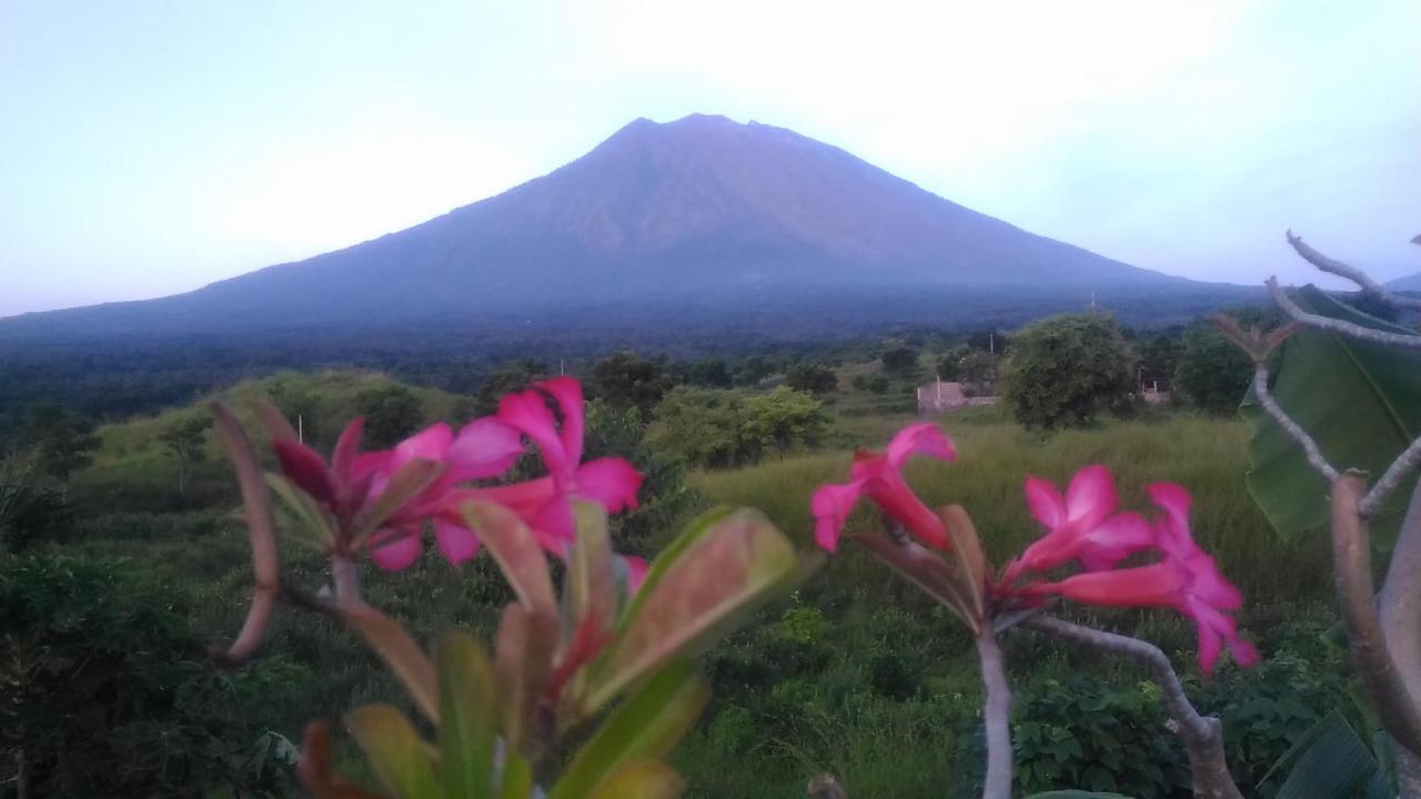 Khrisna Sunrise Homestay Tulamben Luaran gambar