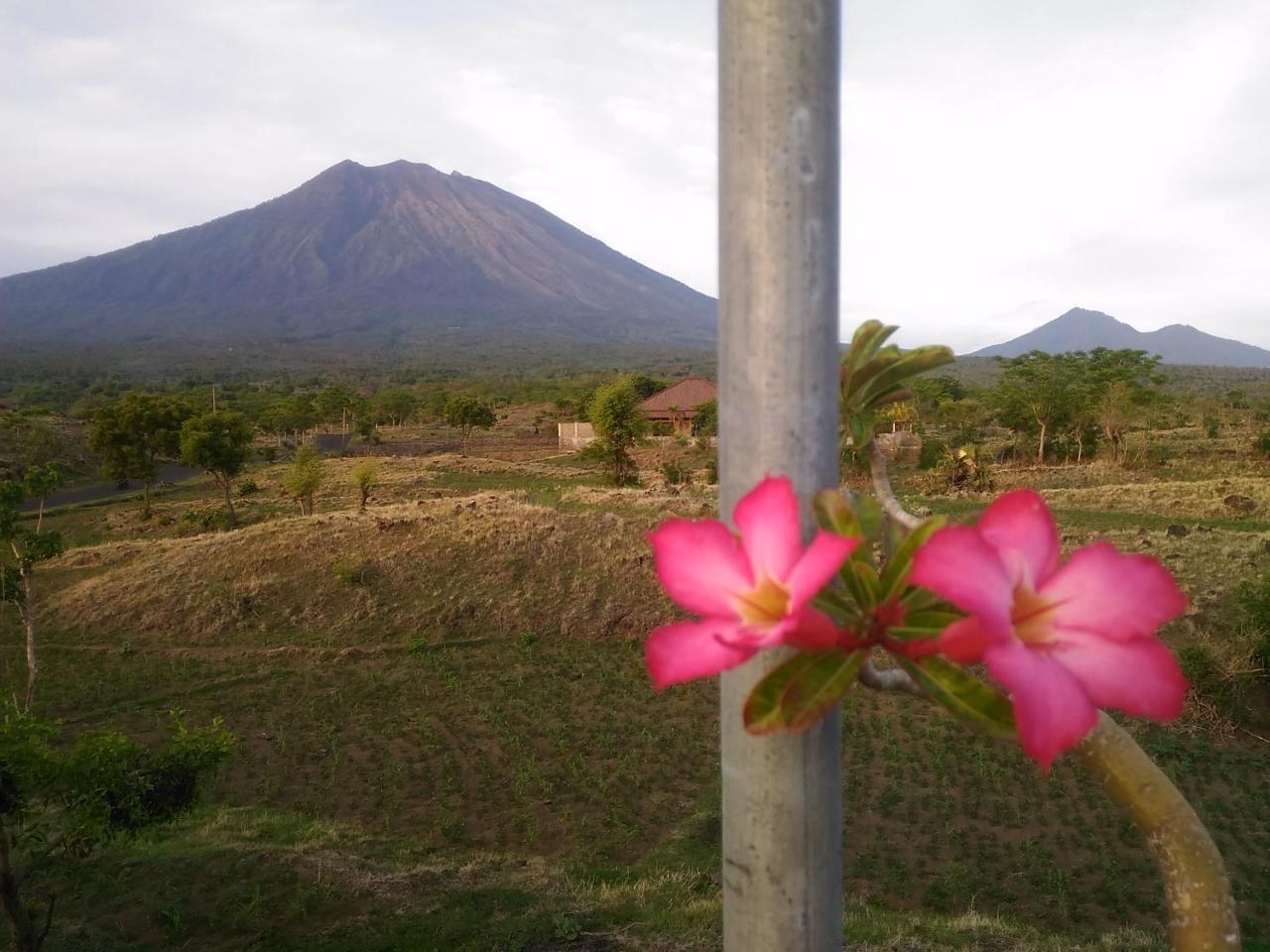Khrisna Sunrise Homestay Tulamben Luaran gambar